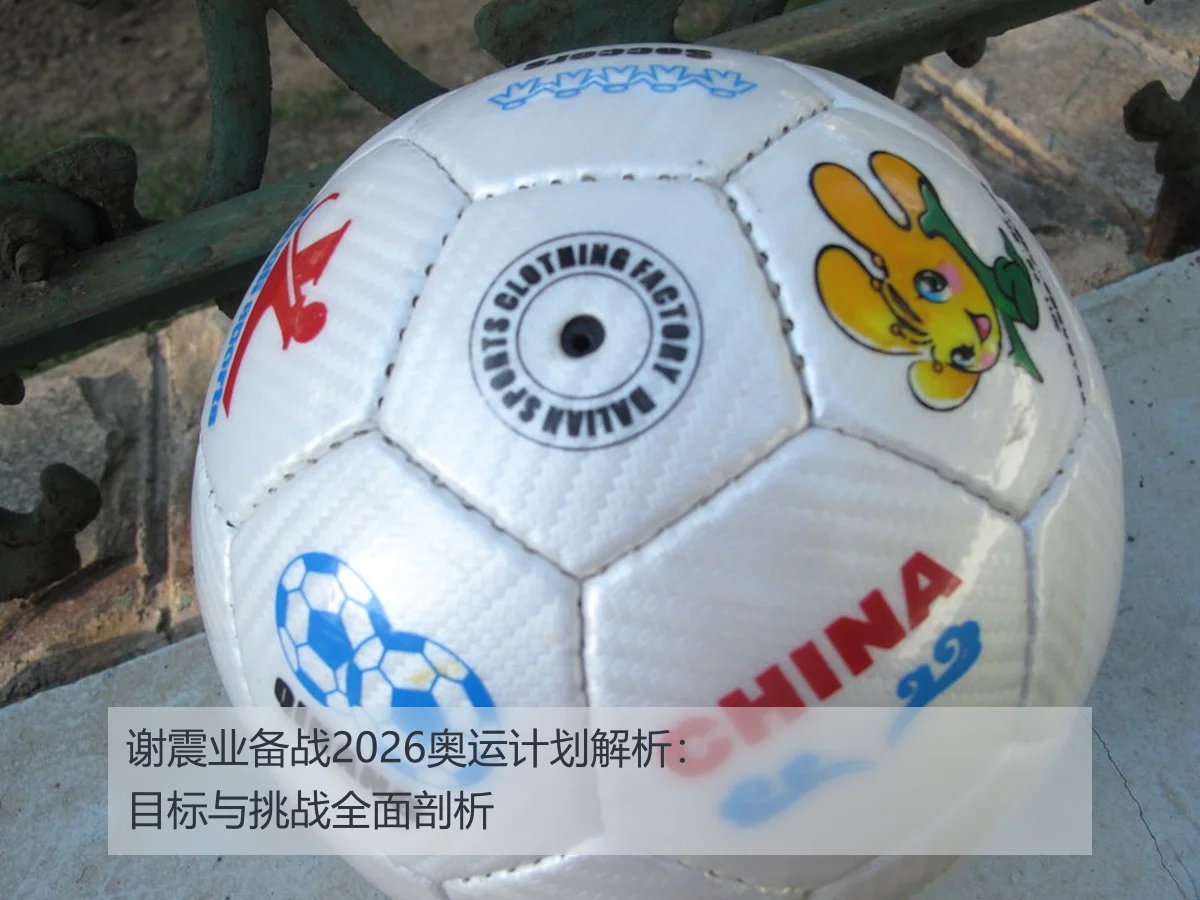 谢震业备战2026奥运计划解析:目标与挑战全面剖析